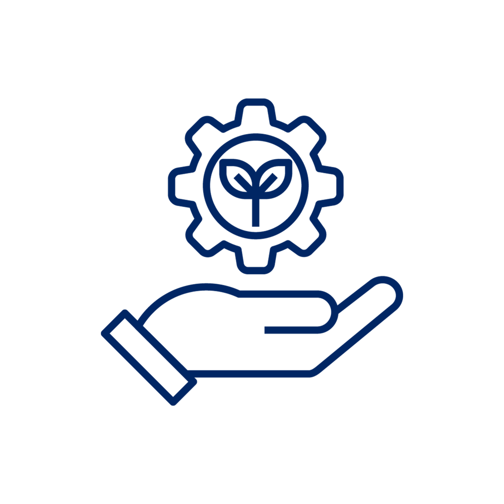 The role of DPI