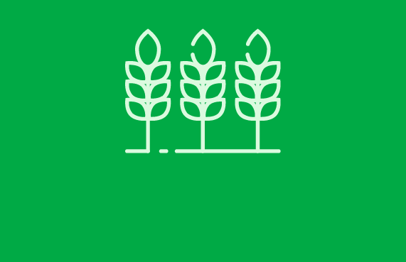 Winter crops