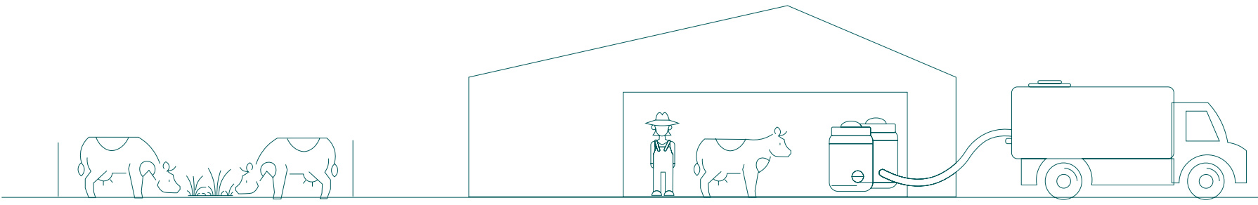 Garry Guernsey illustration