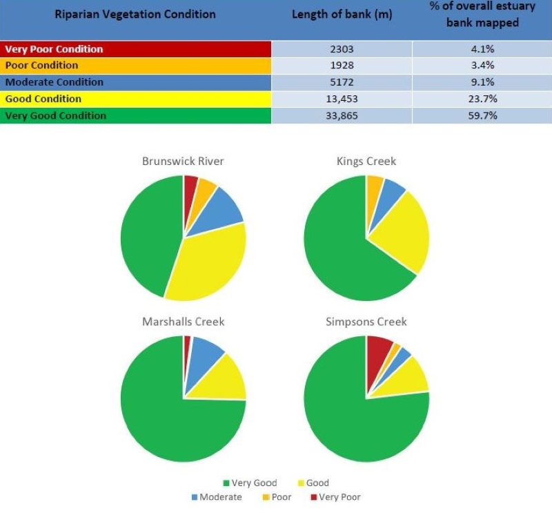 Image of pie chart graphs showing proportion of good and poor condition banks.