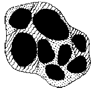 Soil aggregates are particles of soil and sand held together by organic matter and clay Soil aggregate