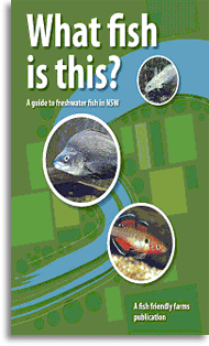 information sheet