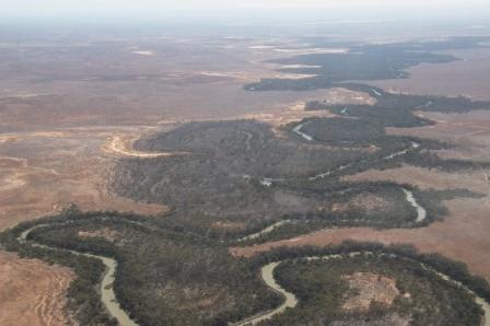 The Lachlan River. Photo: DLWC