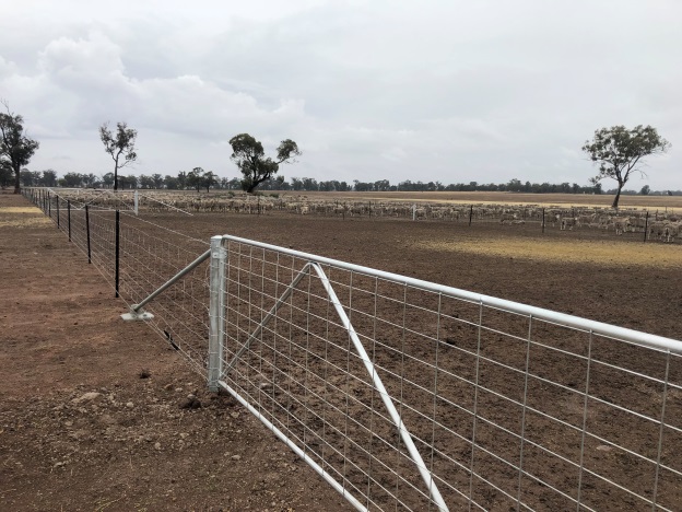 An additional pen allows feeding out prior to sheep entry into the pen. Refer to the AWI publication "Managing sheep in droughtlots" for yard designs. Photo: Geoff Minchin A paddock with a gate and fencing with some sheep in the distance