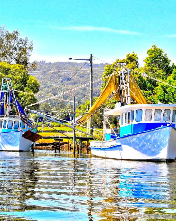 Boats