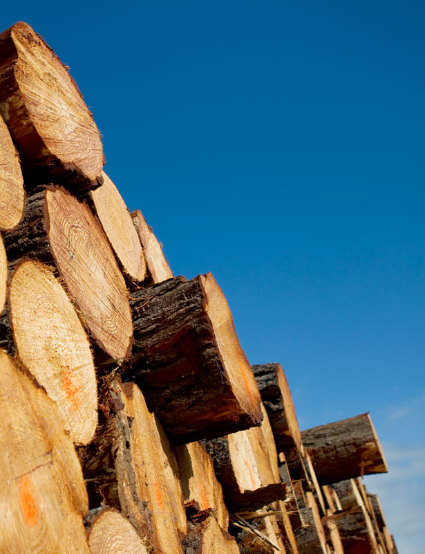 Timber