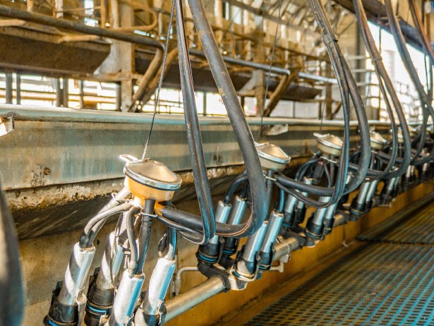 Dairy Machinery