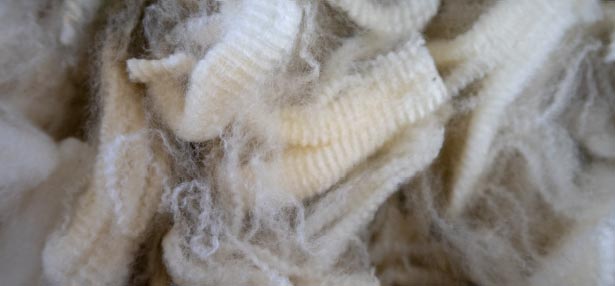 Wool close-up