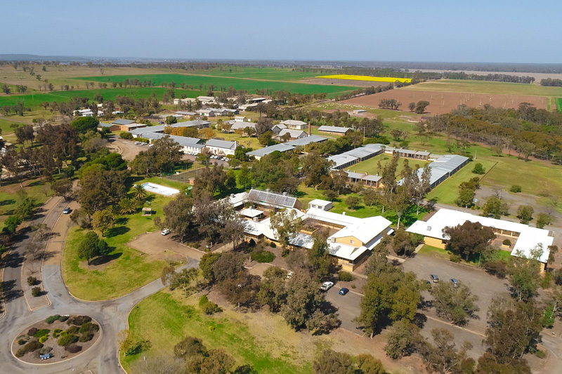 Yanco aerial