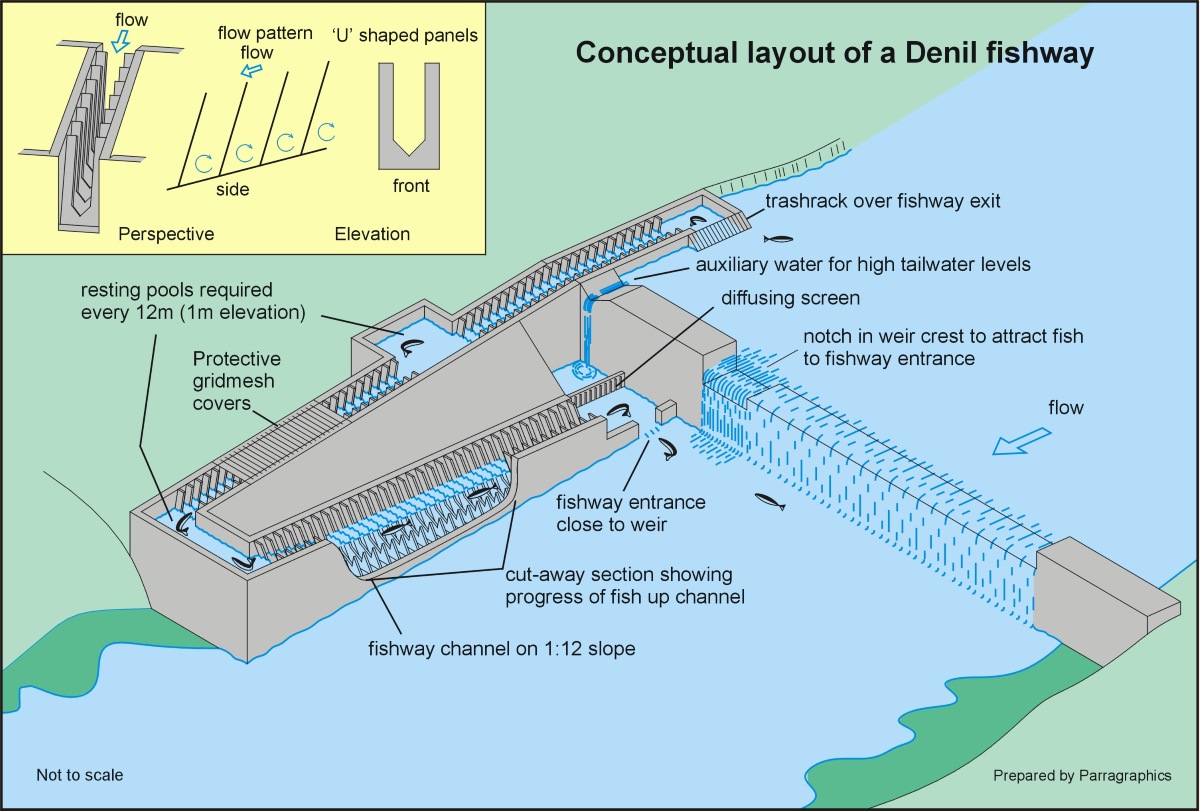 A diagram of a Denil fishway adjacent a weir barrier.