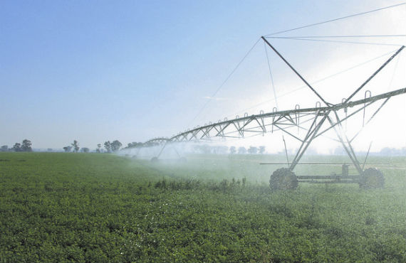 Irrigator