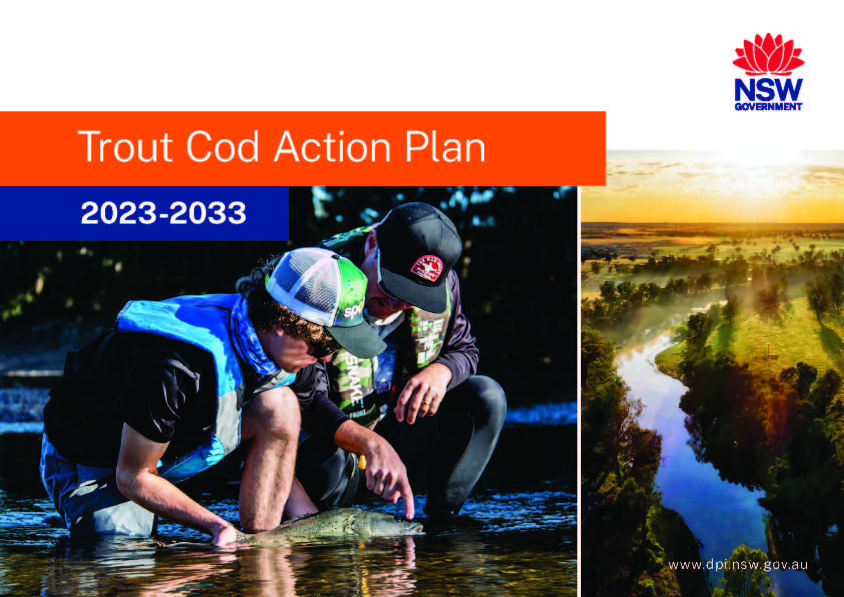 Trout Cod Action Plan Cover Page