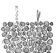 Good soil structure allows water, air and plant roots easy entry into the soil Soil with water, air and roots shown