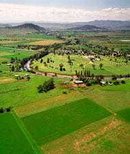 Landscape