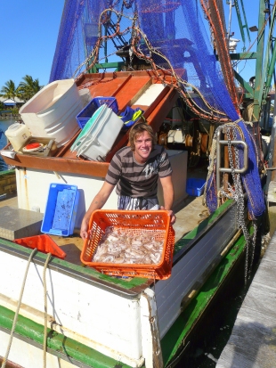Ocean trawl