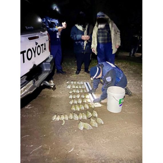 NSW Fisheries Officers measuring recreational fishers’ catch