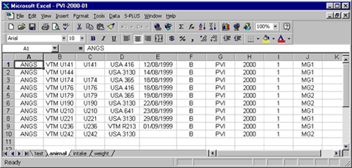 Excel spreadsheet