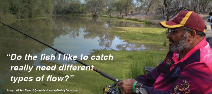 Do the fish i like to catch really need different types of flow?
