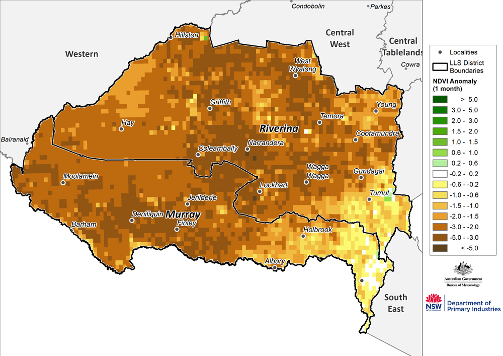 Figure 16. Monthly NDVI anomaly map for the Murray and Riverina regions For an accessible explanation of this image contact the author kim.braodfoot@dpi.nsw.gov.au