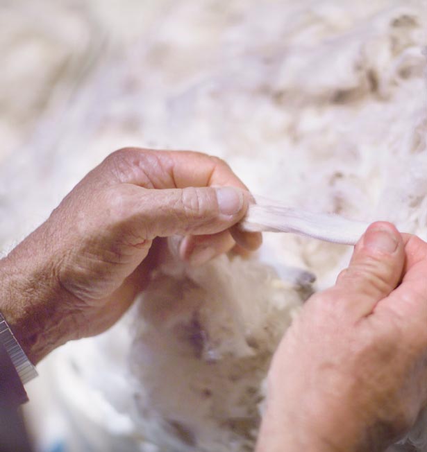 Wool
