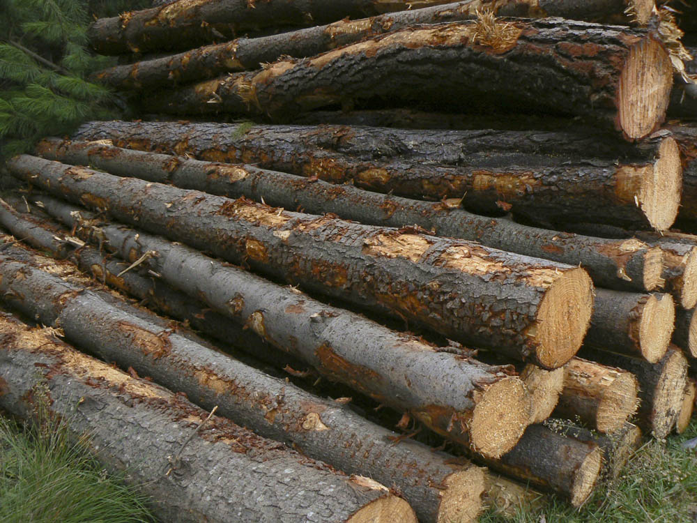 Stacked lumber