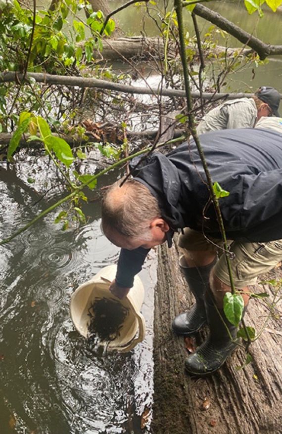 Eastern Freshwater Cod stocking 2021