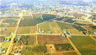 An aerial view of the Griffith centre