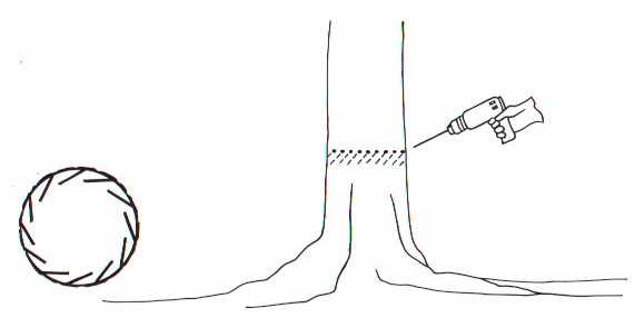 Drill and fill method Stem injection, drill and fill method