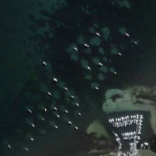 Aerial view of damage to seagrass caused by boat anchorage. Image: Google Earth
