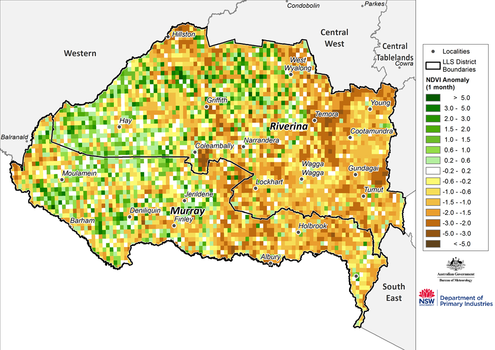 Figure 12. Monthly NDVI anomaly map for the Murray and Riverina regions (note data quality problems in NDVI data) For an accessible explanation of this map contact the author kim.broadfoot@dpi.nsw.gov.au