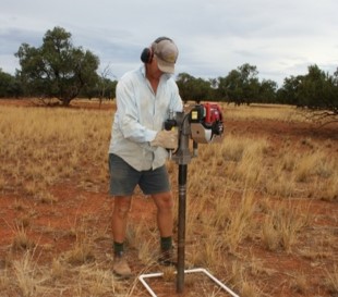 Soil sampling and monitoring Person taking soil sample from quadrat with hand held pneumatic corer