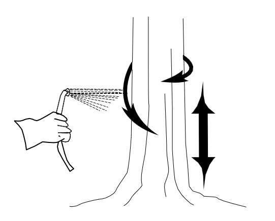 Figure 1. Basal bark spraying. Figure 1. Basal bark spraying
