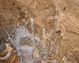 Figure 1. Acid groundwater flowing through large soil pores rapidly filling an excavated pit. While this acid sulfate soil has a clay texture, it has high permeability due to many large, interconnected pores and cracks (Photo: Thor Aaso) Figure 1. Acid groundwater flowing through large soil pores rapidly filling an excavated pit. While this acid sulfate soil has a clay texture, it has high permeability due to many large, interconnected pores and cracks (Photo: Thor Aaso)