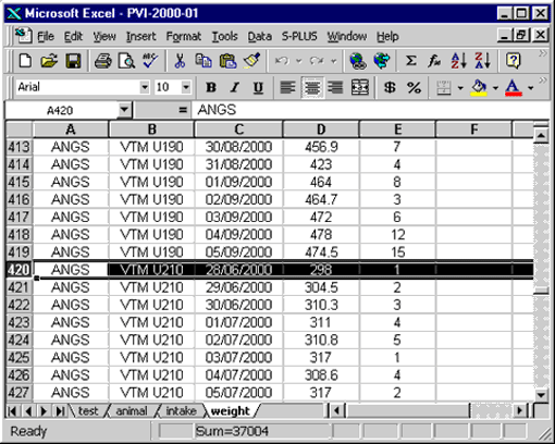 Excel spreadsheet