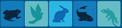 Animal Ethics Infolink image
