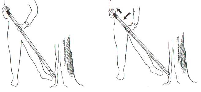 Tree spearing injection method Stem injection, tree spearing