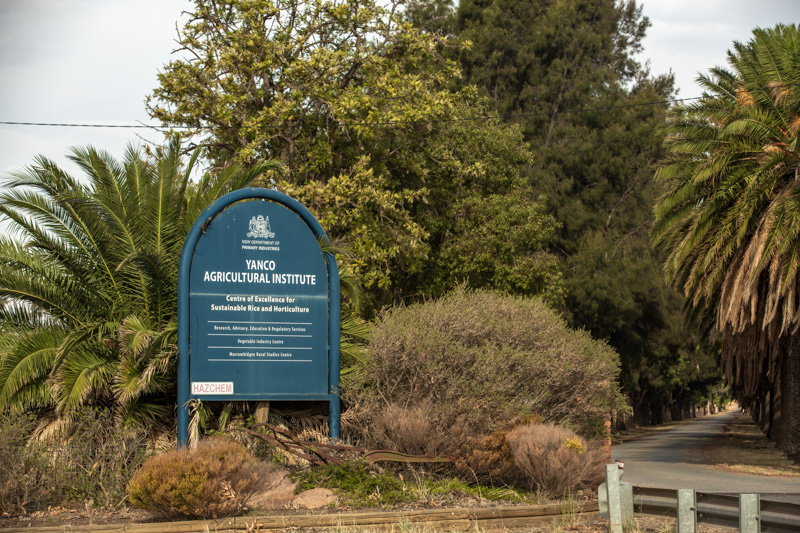 Yanco Agricultural Institute