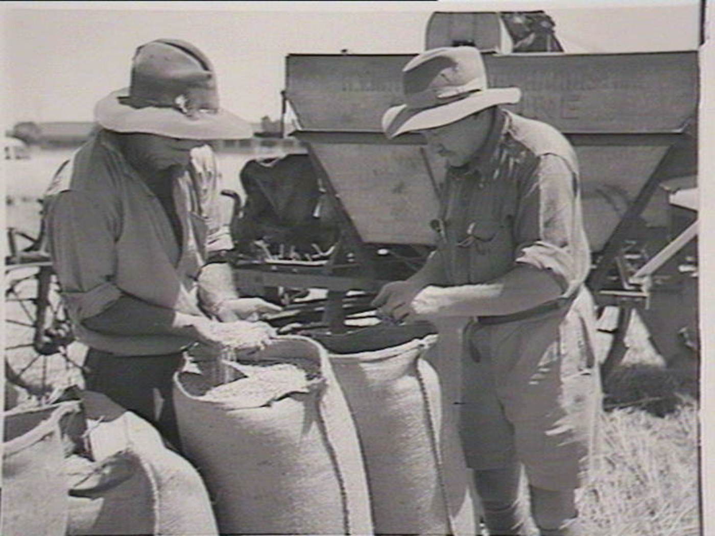 Yanco Experimental Farm 1950-52.