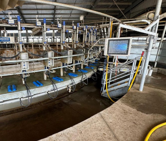 Rotary dairy