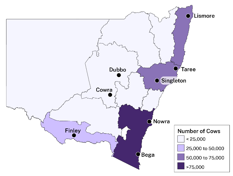 Dairy production in NSW is concentrated along the north coast, extending inland into the Hunter Valley, the south coast and along the Murray River border in the south.