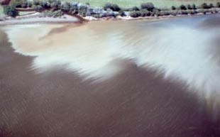 Figure 1. A toxic plume of acidic water entering an estuary - a result of drained acid sulfate soil (Photo: Scott Johnston) Figure 1. A toxic plume of acidic water entering an estuary - a result of drained acid sulfate soil (Photo: Scott Johnston)