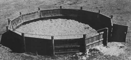 Round yard - top view