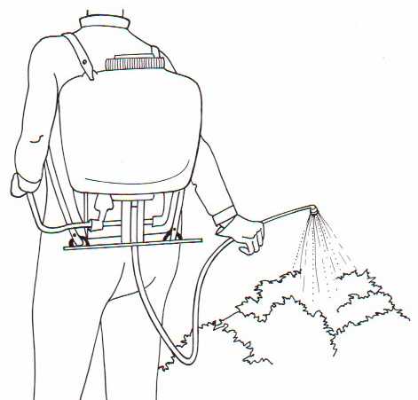 Foliar spraying using a knapsack foliar spraying using a knapsack