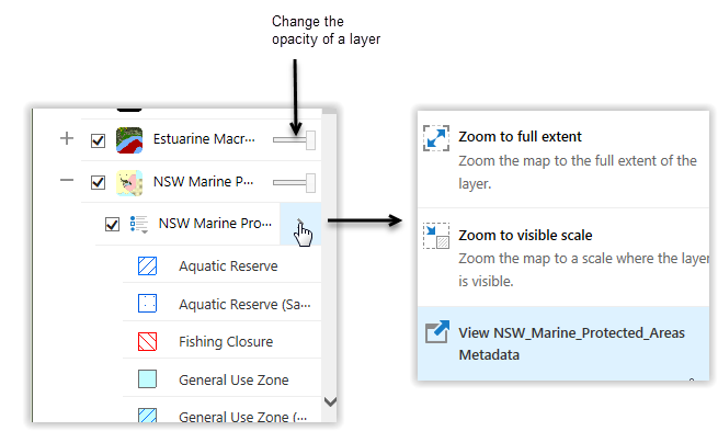 Layer Options Layer Options