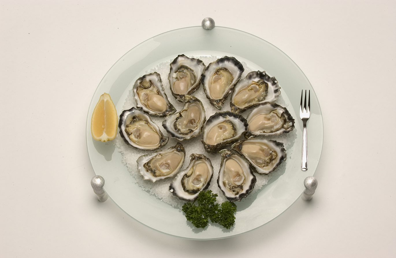 Oysters
