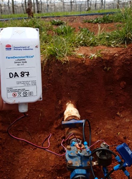 Irrigation flow sensor attached to irrigation line in an orchard