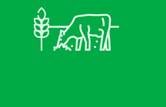 Forage and fodder crops