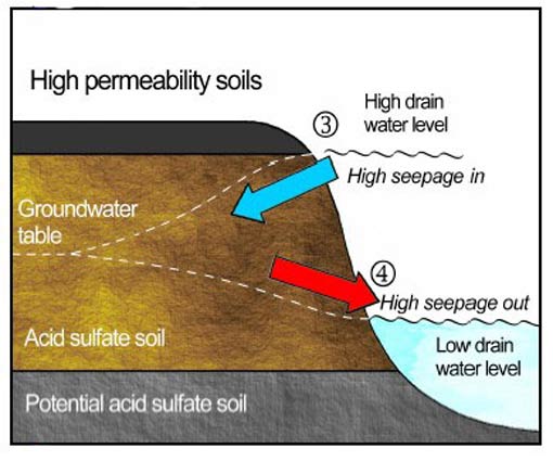 Figure 3. Groundwater flow and groundwater/drain water level relationships in high permeability ASS. 3 shows a high drain water level (i.e. from floodgate opening) and high seepage away from the drain into the ground. 4 shows a low drain water level and high seepage of groundwater towards the drain. Figure 3. Groundwater flow and groundwater/drain water level relationships in high permeability ASS. 3 shows a high drain water level (i.e. from floodgate opening) and high seepage away from the drain into the ground. 4 shows a low drain water level and high seepage of groundwater towards the drain.