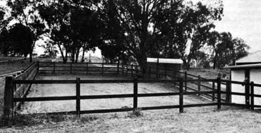 Stallion yard