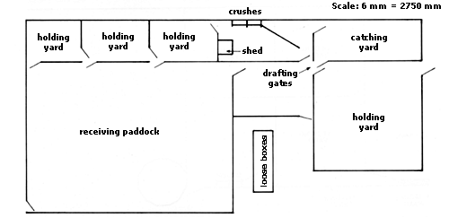 Horse yard Plan 1